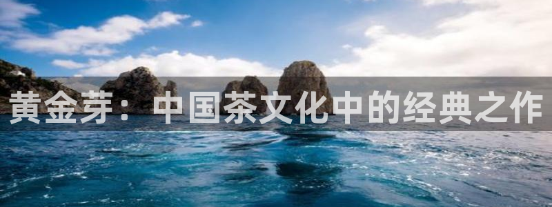 安信12正版下载