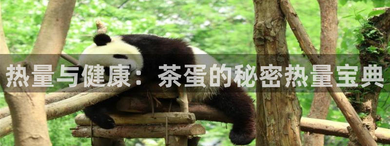 安信12如何开代理