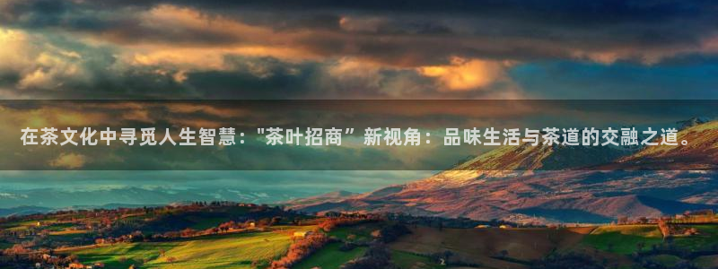 安信cwa12