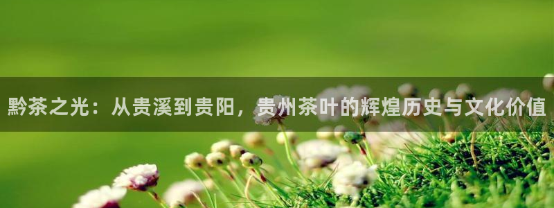 安信12娱乐招商探索空间