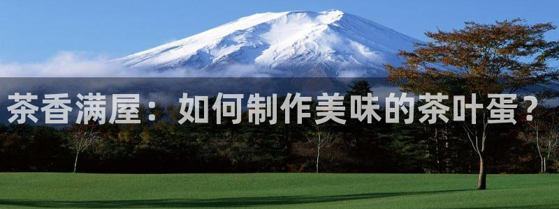 安信12平台介绍