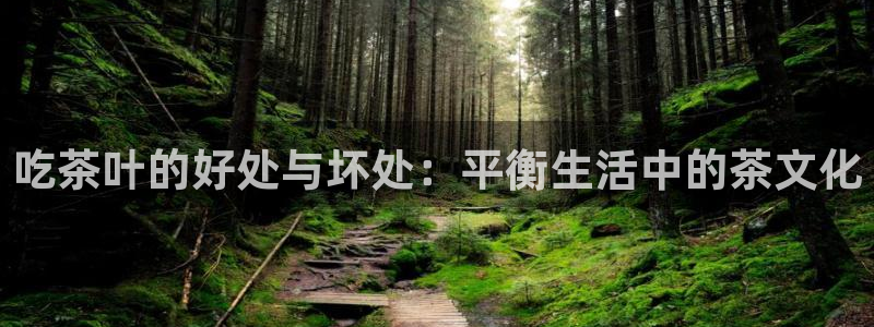 安信可12f