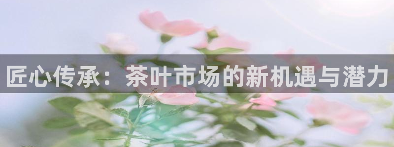 安信12主管