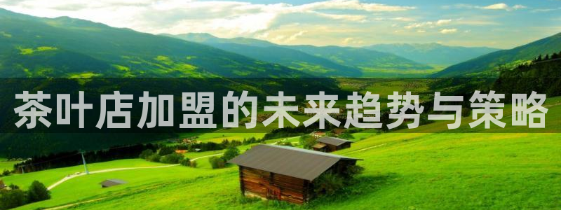安信12娱乐