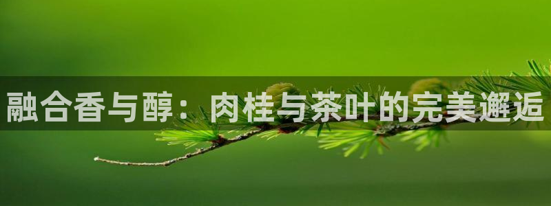 安卓12微信
