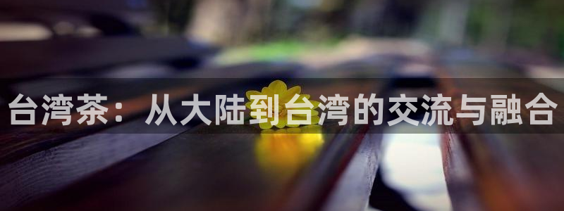 安信12主管