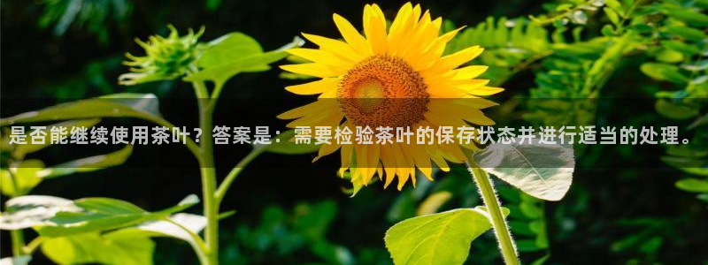 安信12怎么下载