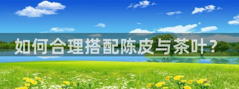 安信12娱乐主管