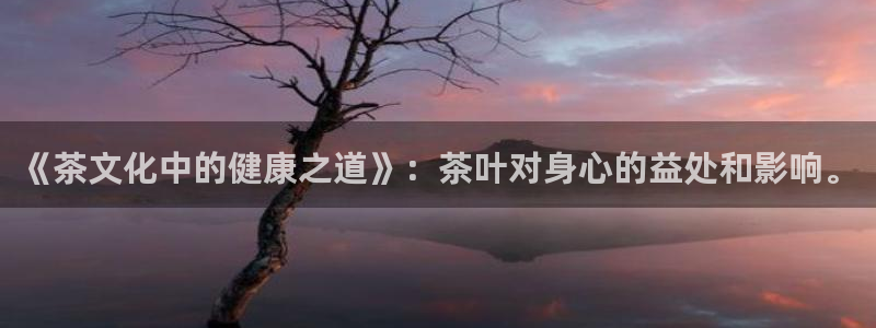 安信可wb12