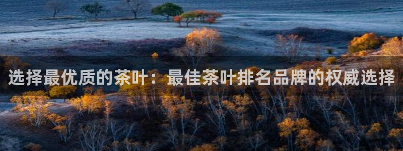 安信12注册代理