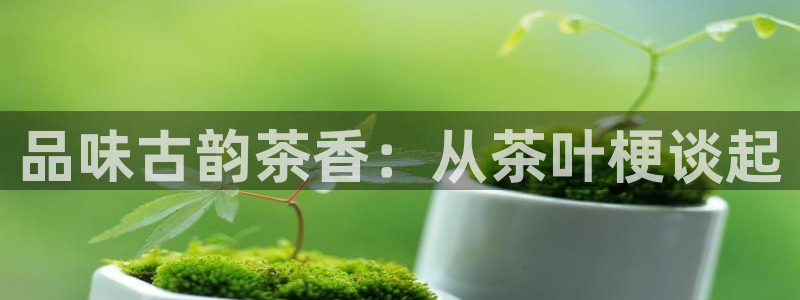 安信12开户