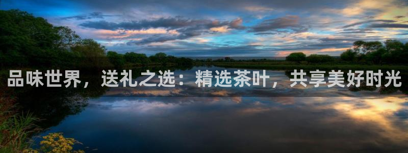 安信12包赔