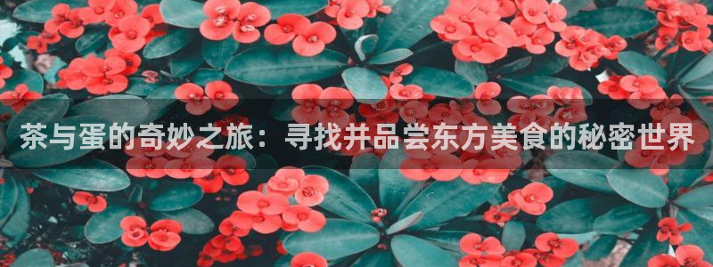 安信12真假