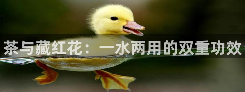 安信12注册咋7O777