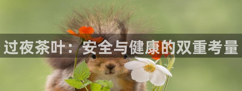 安信12挂机