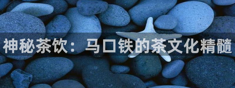 安信12级粉丝团福利