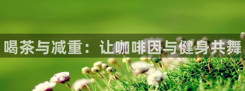 下载安信12