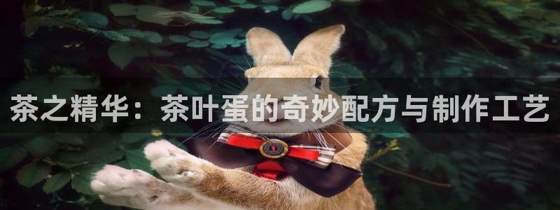 安信12是正规平台吗