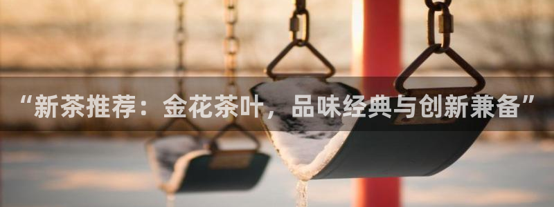 安信12官网