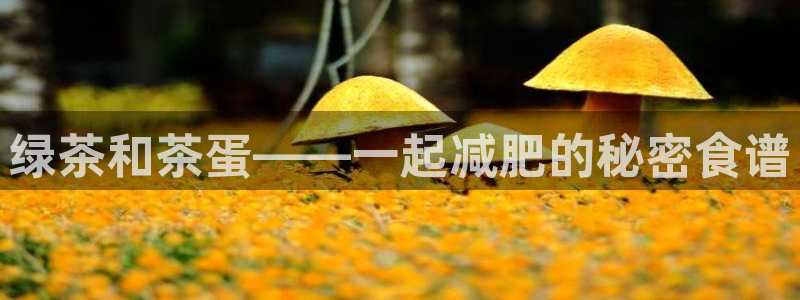 安信安盈12最新消息