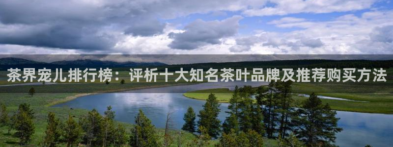 安信12平台注册