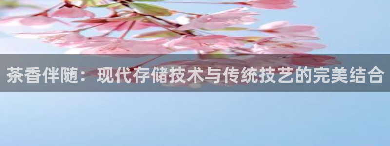 安信12位资金账号