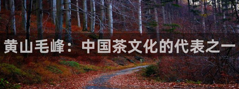 安信12是正轨网站吗