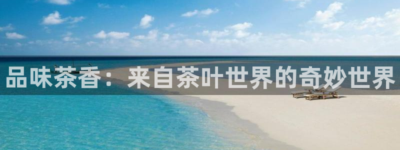 信安杯12