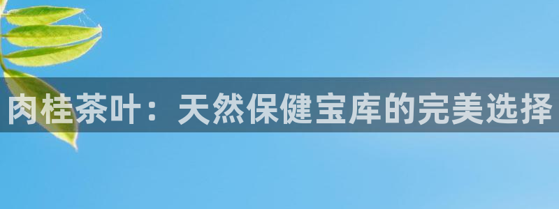 安信12