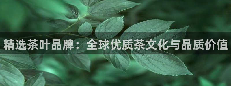 安信12娱乐招商探索空间