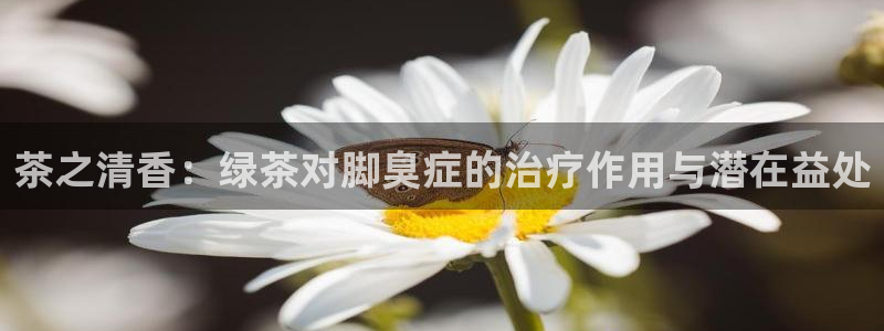 安信12彩票在线网址