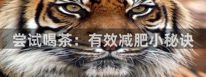 安信12下载