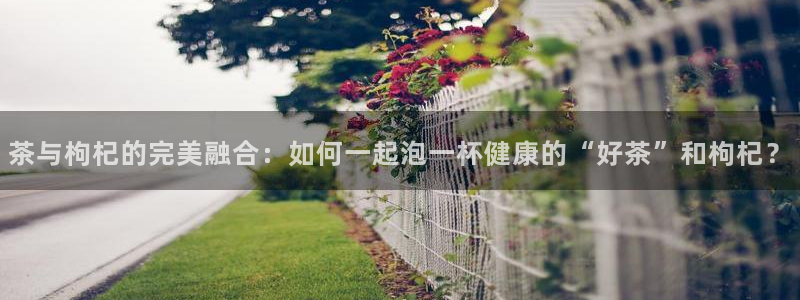 安信12官方网站查询