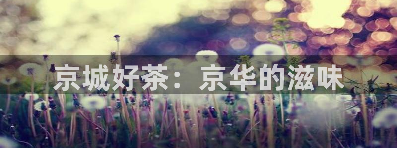 安信12代理