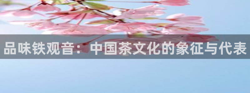安信12平台下载