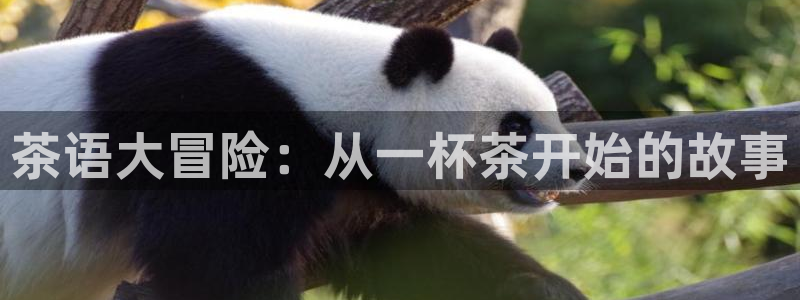 安信12登录地址