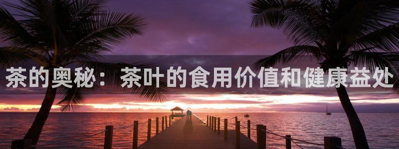 安信12官方下载