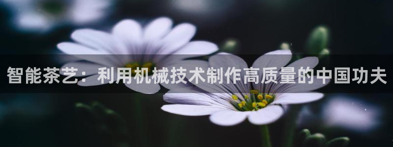 安信12软件介绍