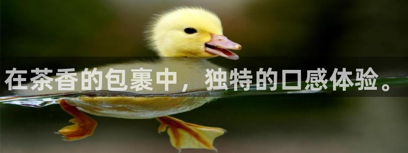 安信12位资金账号