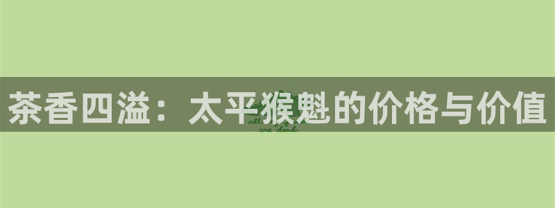 安信12专用挂机