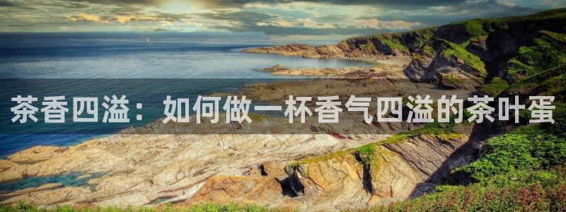 安信12负责人