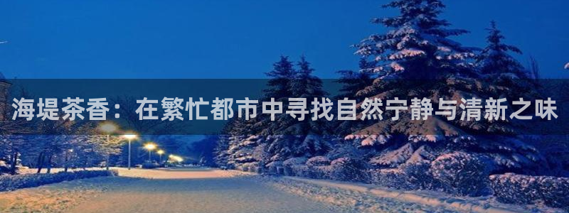 安信12赛车