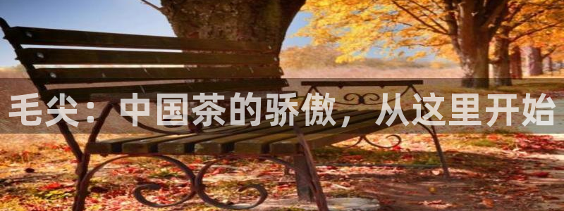 安信12级粉丝团福利