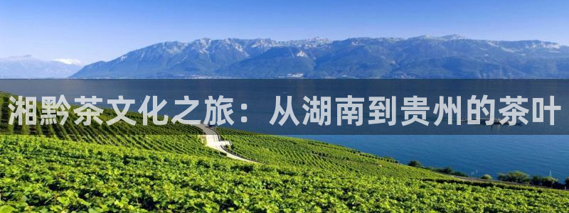安信12是正轨网站吗