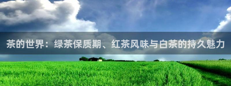 安信12是正规平台吗