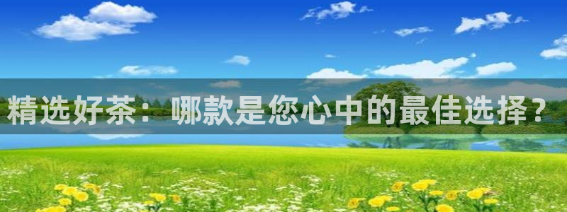 安信12赛车