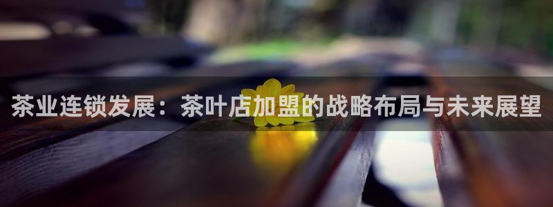 安信卓越12月