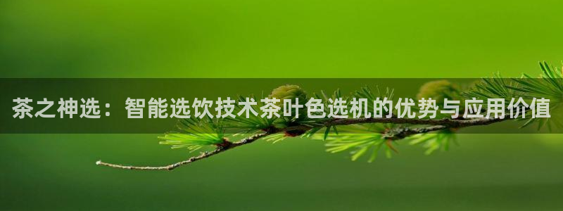 安信12娱乐主管