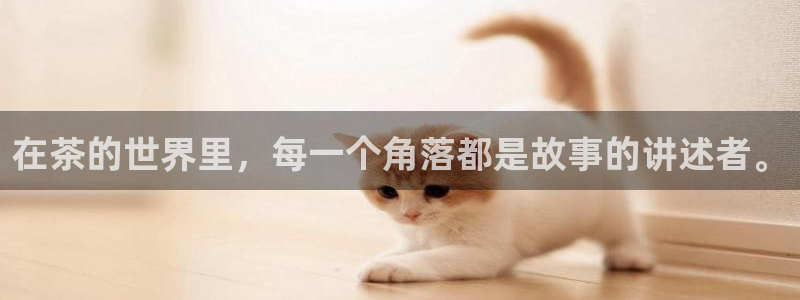 安信12注册咋7O777