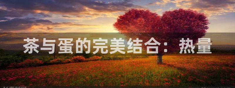 安信12专用挂机